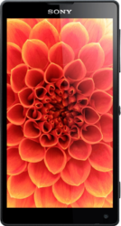 Sony Xperia ZL - Саянск